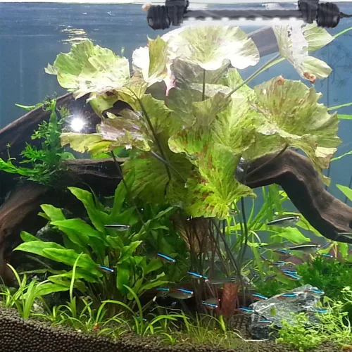 Vista 6 de LED Aquarium Light, Fish Tank Lights Underwater Crystal Glass Bright IP68 Waterproof Submersible Strip Bar Aquarium Tank Light, White, 7.5 inch