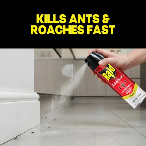 Vista 2 de Raid Ant & Roach Killer Spray para insectos enumerados, sigue matando durante semanas, aroma a limón, 17.5 onzas
