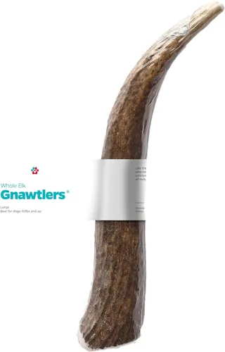 Vista 13 de Gnawtlers - Cornamenta de alce de primera calidad para perros, cuernos desprendidos naturalmente, para masticar, especialmente seleccionada