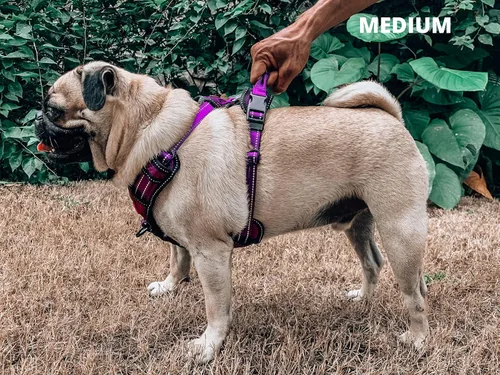 Vista 7 de Tuff Pupper Arnés para perro sin tirones, chaleco resistente para mascotas, clips para correa delantera y trasera, mango fuerte de seguridad, Púrpura