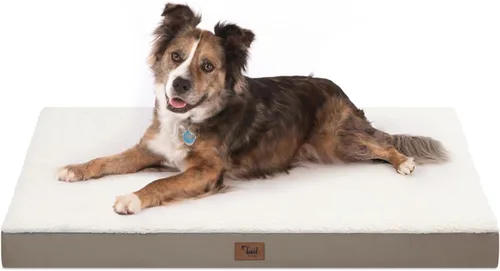 Vista 107 de Cama para perros y gatos pequeños, impermeable, para jaula de huevos, espuma ortopédica con funda Oxford lavable y extraíble, color verde Amy