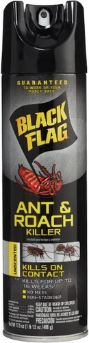 Black Flag Ant and Roach Killer 17.5 onzas, aerosol en aerosol, sin perfume
