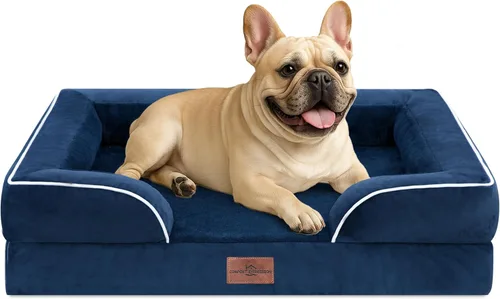 Vista 260 de Comfort Expression - Cama ortopédica para perros pequeños, 20 x 14 pulgadas, cama impermeable y de apoyo de espuma con cojines removibles, sofá