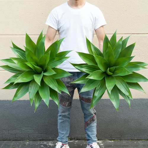 Vista 11 de Ttranewsoo Plantas Artificiales de Agave para Interiores, Resistentes a los Rayos UV, Maceteros Falsos de Agave para Decoración Exterior, Plantas