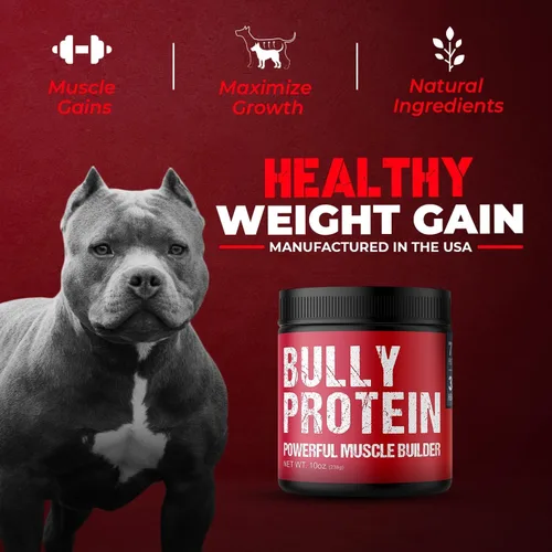 Vista 5 de Práctico polvo de proteína de carne real para perros 283 mg de proteína pura en polvo para todas las razas de perros Nutrición diaria
