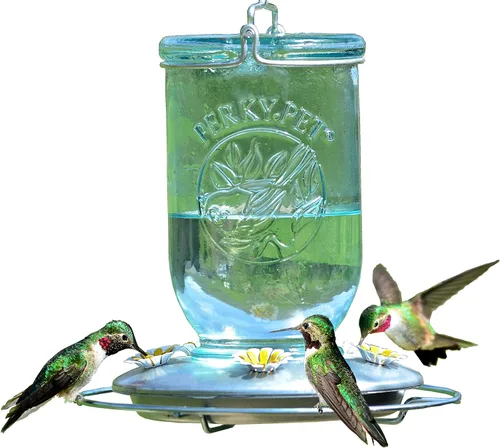 Perky-Pet Mason Jar 785-1SR Comedero de Vidrio para Colibríes de Estilo Vintage - Comederos para Colibríes para Decoración de Jardín Exterior -