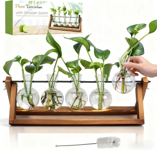 Vista 10 de Renmxj Estaciones de propagación de plantas con soporte de madera y 3 jarrones de bombilla de vidrio, terrario de plantas para plantas