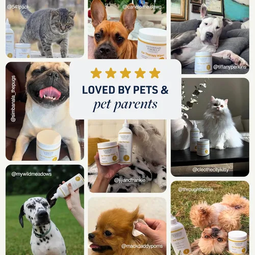 Vista 7 de Yaxa Basics Fórmula veterinaria Terapia de Autos Clínicos, 4 oz. - Fórmula medicada trata infecciones bacterianas, fúngicas y de levadura