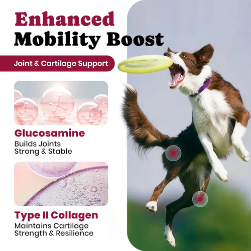 Vista 3 de Glucosamina para perros – Suplemento masticable para cadera y articulaciones para personas mayores y de razas grandes, suplemento articular