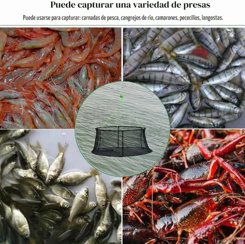 Vista 6 de Drasry Fishing Net Trap for Bait Minnow Shrimp Crayfish Foldable Fish Crawdad Lobsters Cast Net Collapsible