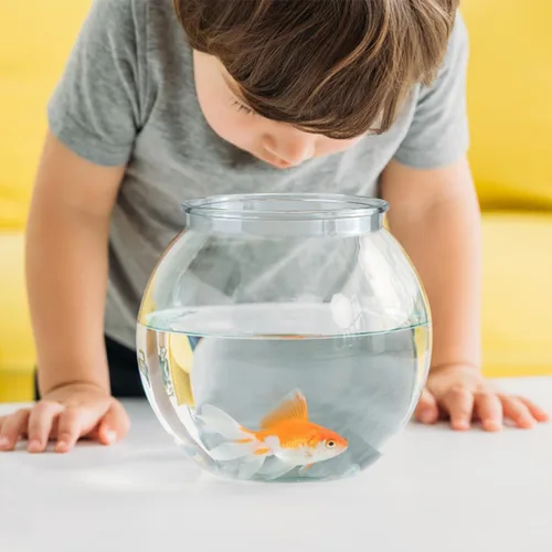 Vista 6 de Cuenco pequeño para peces de acuario, cuenco redondo para terrario, decoración de mesa de oficina en casa, tanque de plástico transparente