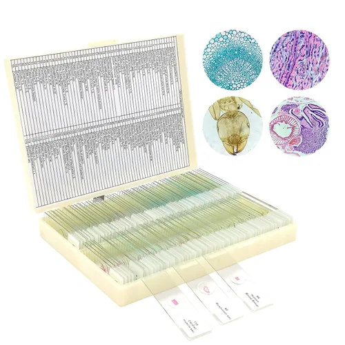 Vista 9 de 30 diapositivas de microscopio con muestras para niños, diapositivas de microscopio preparadas para microbiología infantil, diapositivas de vidrio