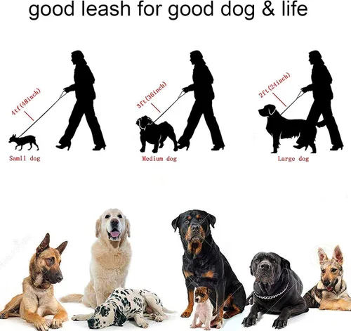 Vista 6 de Correa de perro de cadena de oro de acero inoxidable fuerte, con mango de cuero, correa de cadena de eslabones NK chapada en oro de 18 quilates