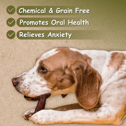 Vista 3 de Palitos masticables Bully estándar de 12 pulgadas por Top Dog Chews (paquete de 12)