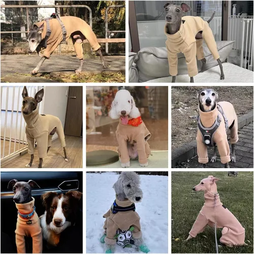 Vista 6 de Greyhound Clothes - Overol de invierno para perro, cálido de cuello alto, overol de cuatro patas, sudadera de manga larga, abrigo al aire libre