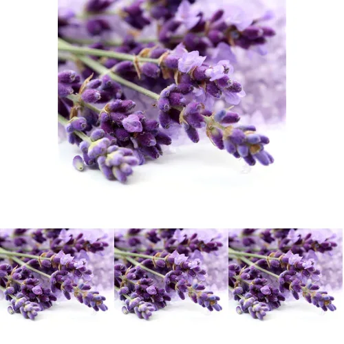 Vista 4 de Extracto natural de manzana OliveNation, orgánico, 4 onzas.