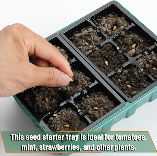 Vista 6 de Mr. Pen - Kits de bandejas de inicio de semillas, 6.6 x 4.6 pulgadas, 10 juegos, total de 120 celdas, bandejas duraderas para germinación de plantas