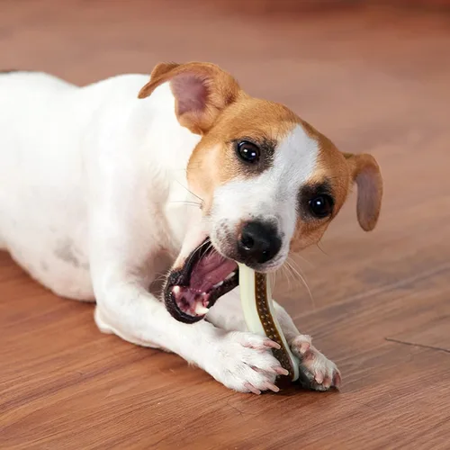 Vista 4 de Juguetes masticables para perros para masticadores agresivos de razas grandes, paquete de 3 unidades con sabor a carne real, juguetes