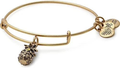 Alex and Ani Path of Symbols - Brazalete expandible para mujer, dije de piña, acabado rafeeliano, de 2 a 3.5 pulgadas Dorado (Rafaelian Gold Finish)