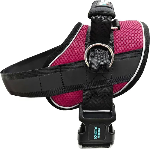 Vista 6 de Joyride Harness Chaleco de malla de verano – Arnés para perro 2.0 sin tirones – Chaleco ajustable y transpirable – Etiqueta de nombre personalizada