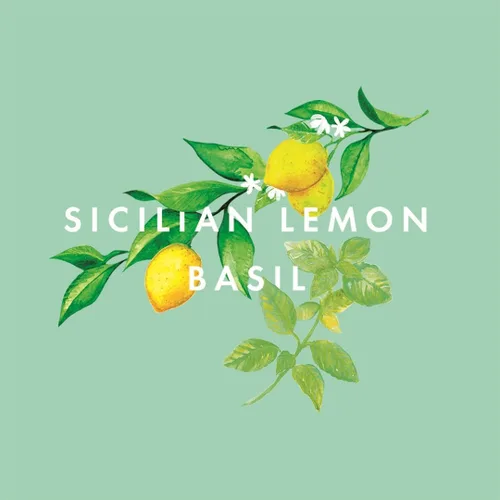 Vista 9 de NEOM - Vela perfumada Feel Refreshed, 1 mecha, limón y albahaca, vela de aromaterapia de aceite esencial, aroma para aumentar tu energía