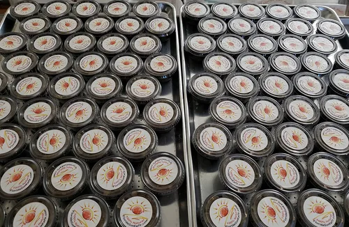 Vista 4 de 2 tazas grandes con un 33% más de cada uno de los granos de kéfir de agua natural Live Florida Sun Kefir