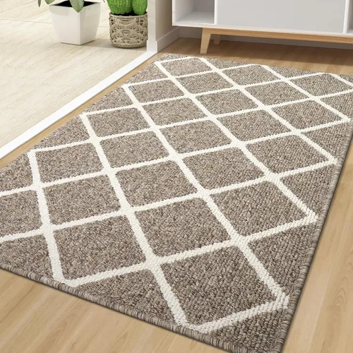 Vista 48 de Finchitty Alfombra para Puerta Interior, Resistente a la Suciedad y Absorbente, de Perfil Bajo, Antideslizante, Lavable, Alfombras de Piso