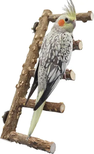 Soporte grande de perca para pájaros de 15.7 pulgadas, juguetes de escalera de loro de madera natural, accesorios para jaula de pájaros, adecuado
