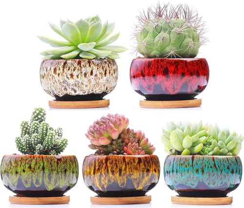 Vista 7 de Lindas macetas de cerámica para suculentas, maceta con drenaje y platillo adjunto, juego de 5 plantas no incluidas (hornillo)