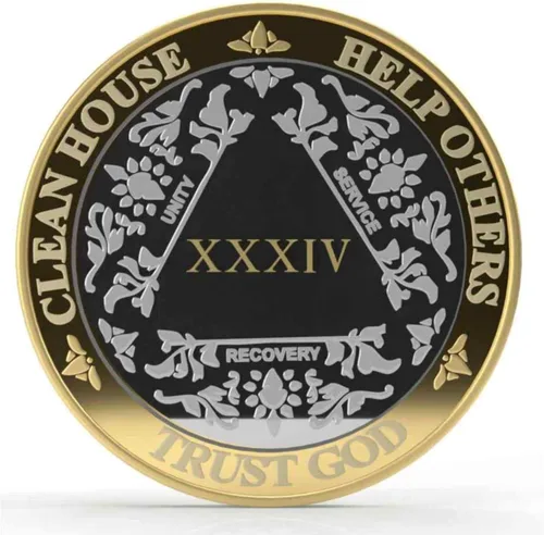 Vista 26 de Silver & Gold - Medallón de Alcohólicos Anónimos de 1 a 60 años (10 años (X)) Cápsula AA incluida