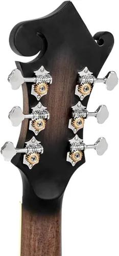 Vista 6 de Goldtone F-6 Manditar Cutaway Mando-Guitarra con estuche