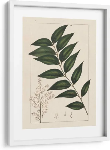 Vista 5 de Canvas Lab Silva Leaves III by John Silva 11 x 15 in Fine Art Framed Print, Frame Color: Black, With Mat Botanical, Floral, Nature Wall