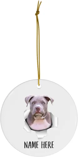 Vista 2 de Personalized Name American Bully Puppy Sitting Christmas Tree Ornaments Circle Ceramic Decorations Gifts for Dog Lovers Owners