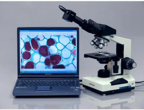 Vista 5 de AmScope Microscopio binocular compuesto B490B-LED, oculares WF10x y WF20x, aumento 40X-2000X, Brightfield, iluminación LED, condensador Abbe, etapa