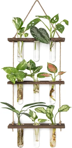Mkono Tubos de propagación de plantas, terrario colgante de pared de 3 niveles con soporte de madera, florero de flores, tubo de ensayo, estaciones