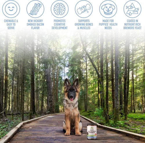Vista 8 de Strawfield Pets Multivitamínico para cachorros + probióticos para perros, vitaminas para cachorros con suplemento de apoyo articular para perros