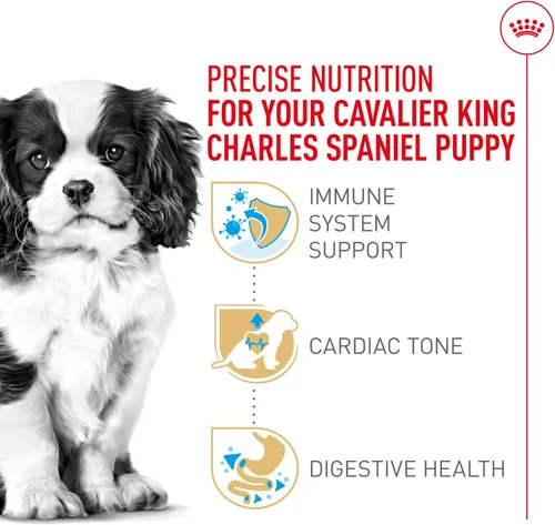 Vista 3 de Royal Canin Breed Health Nutrition Cavalier King Charles Spaniel - Alimento seco para cachorros, bolsa de 3 libras