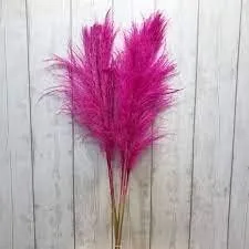 Vista 2 de Royal Sapphire Hierba de las pampas rosa de 24 pulgadas, ramas de pampa de hierba pomposa seca para jarrón, arreglo floral de boda, decoración