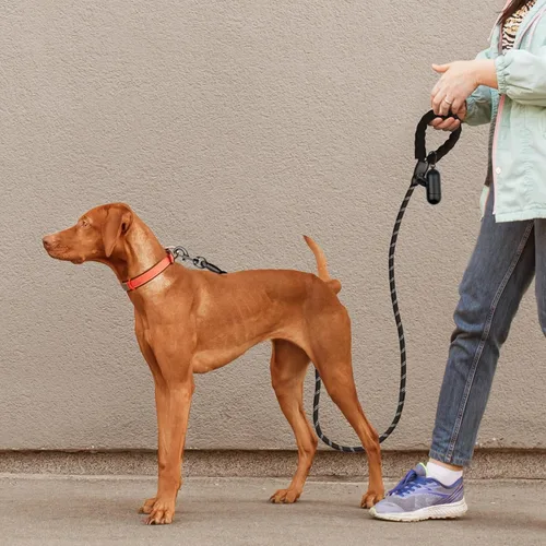 Vista 7 de Correa resistente para perros de razas grandes, medianas y pequeñas, correas de cuerda reflectantes para perros con mango cómodo, correa