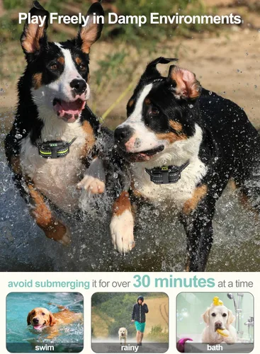 Vista 7 de F-color Collar de choque para perros con control remoto, collar de entrenamiento para perros de 2600 pies, paquete de 3 con vibración de pitido