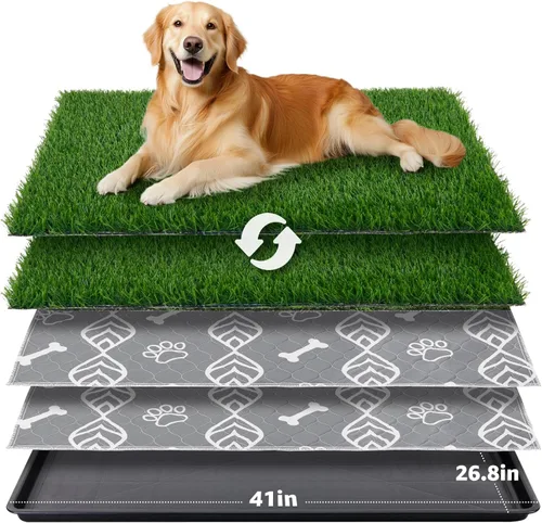 Vista 12 de LOOBANI - Almohadilla de césped grande para perros con bandeja - Caja de arena para perros de 35x23 pulgadas con 2 parches de césped artificial + 2
