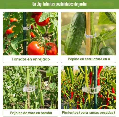 Vista 6 de FEED GARDEN Clips para plantas de tomate, paquete de 120 unidades, soporte fácil para plantas