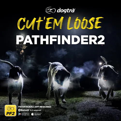 Vista 8 de Dogtra PATHFINDER 2 MINI Receptor adicional Perro GPS Tracker e Collar Luz LED Verde Sin tarifas mensuales Aplicación gratuita Impermeable