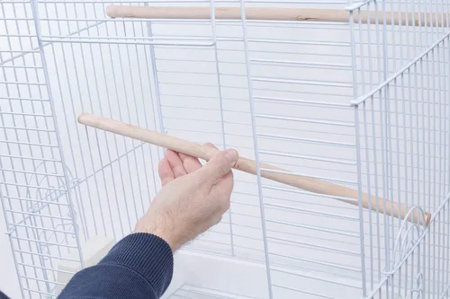 Vista 6 de [Usado] PENN-PLAX Kit de iniciación para pájaros pequeños con jaula y accesorios, ideal para periquitos, tortolitos, loros, pinzones, canarios