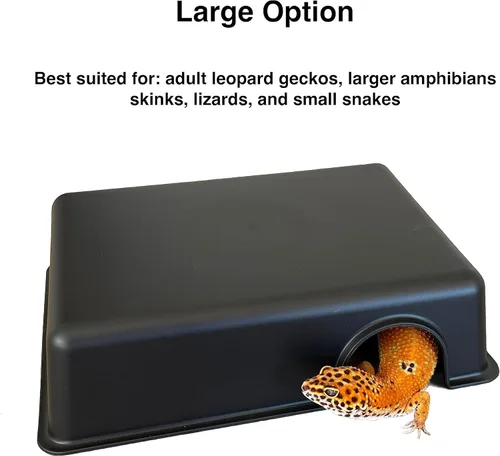 Vista 5 de Caja de plástico para piel de reptiles para geckos de leopardo, serpientes, lagartos, serpientes de maíz, pequeña y juvenil