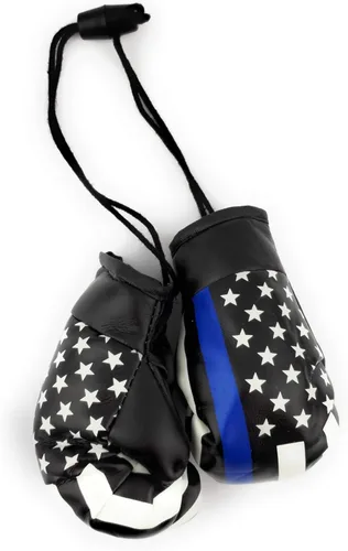 Vista 5 de Mini Guantes de Boxeo Colgantes para Espejo de Coche (Argentina)