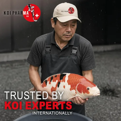 Vista 5 de Tratamiento puro de la enfermedad del exterminador de parásitos de amplio espectro (1 galón)