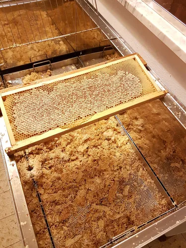 Vista 2 de Giannetti Artisans Miel de castaño sin pasteurizar de Toscana, Italia - Tarros de 8.8 oz y 17.63 oz producidos artesanalmente