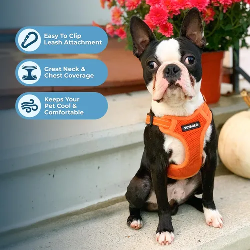 Vista 6 de [Usado] Best Pet Supplies Voyager - Arnés de malla transpirable para perro, costuras reflectantes, ajustable para todo tipo de clima, para caminar