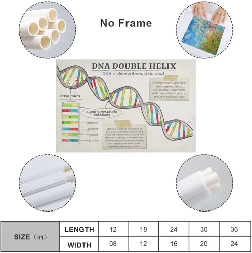 Vista 2 de Póster de biología con función celular de ADN, estructura celular, póster educativo para aula, póster artístico y arte de pared, decoración moderna